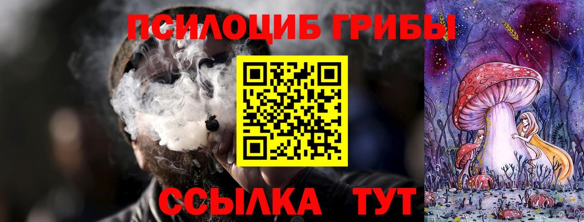Галлюциногенные грибы GOLDEN TEACHER Орёл